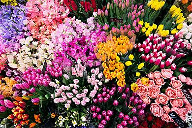 纯单人即时战略游戏新作《Regiments》进入测试阶段