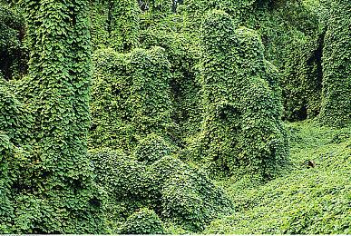 《觉醒异刃》登陆 PC＆ PS5  国产银恶城动作冒险